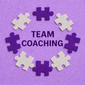 Team Coaching