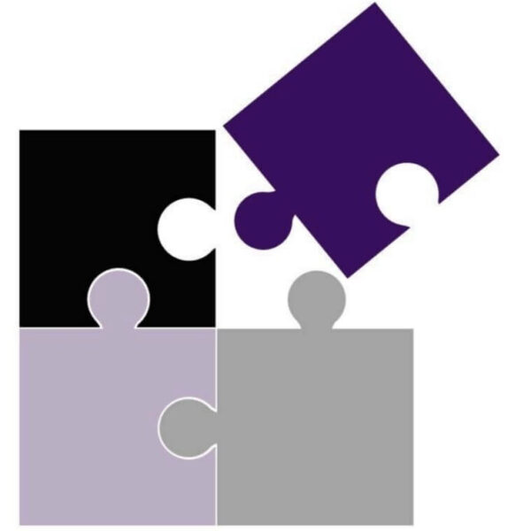 Jigsaw Learning